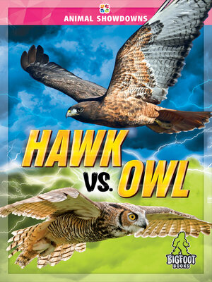 cover image of Hawk vs. Owl